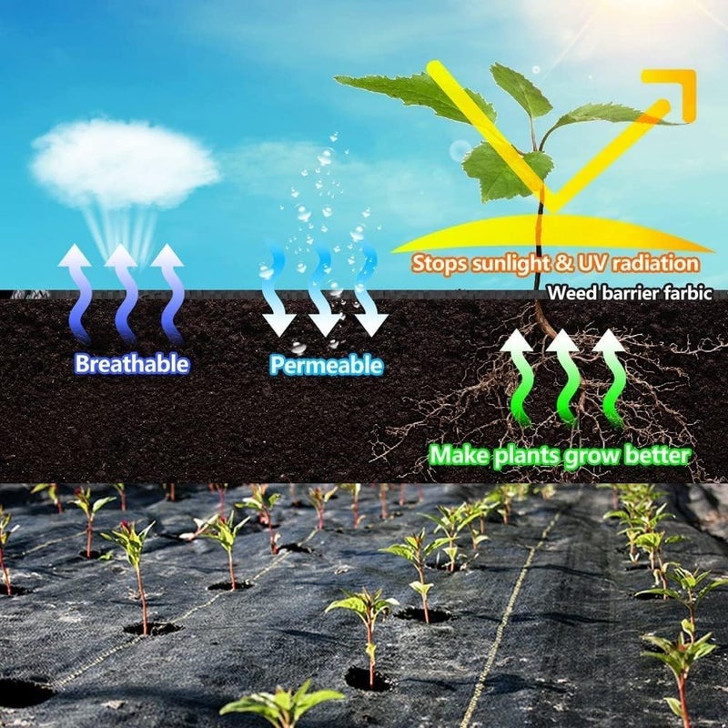 LAVEVE 6FT x 300FT Weed Barrier Landscape Fabric, 3.2oz Premium Heavy Duty Garden Cloth, Ground Cover for Gardening, Farming - Image 3